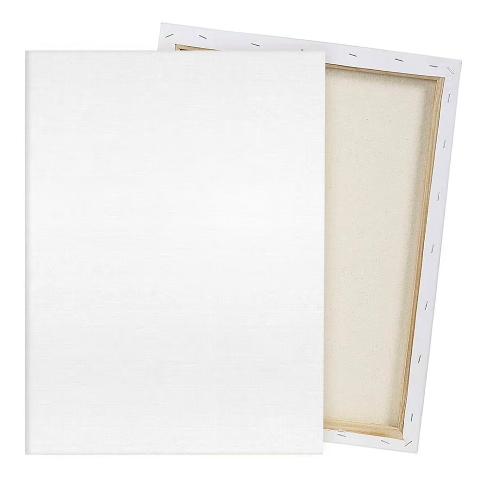 2 pack Blank White Canvas 17x22
